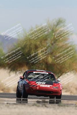 media/Oct-12-2025-Lucky Dog Racing (Sun) [[8adb5568ea]]/3-Third    Stint/4-Turn 4 (Tree of Life)/